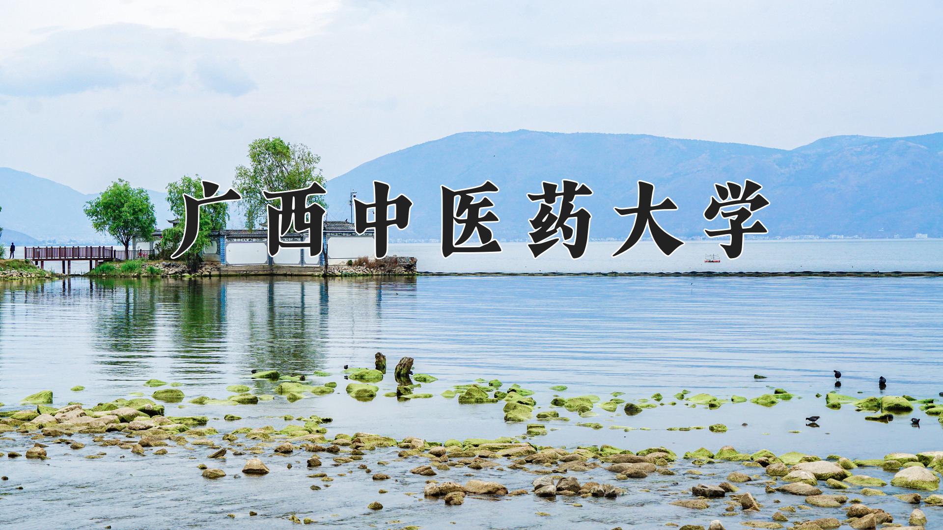 广西中医药大学