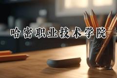 哈密职业技术学院2024在河南录取分数线是多少？最低206分/最高363分