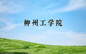 柳州工学院2024在陕西录取分数线是多少？最低387分/最高414分