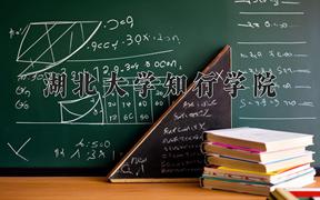 湖北大学知行学院2024在陕西录取分数线是多少？最低423分/最高456分