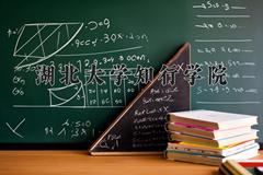 湖北大学知行学院2024在陕西录取分数线是多少？最低423分/最高456分