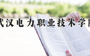 武汉电力职业技术学院2024在河南录取分数线是多少？最低406分/最高456分