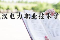武汉电力职业技术学院2024在河南录取分数线是多少？最低406分/最高456分