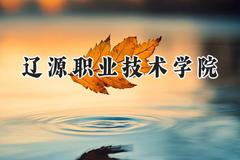辽源职业技术学院2024在河南录取分数线是多少？最低175分/最高336分