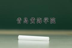 青岛黄海学院2024在陕西录取分数线是多少？最低249分/最高420分
