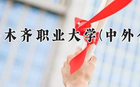 乌鲁木齐职业大学(中外合作)2024在河南录取分数线是多少？最低193分/最高272分