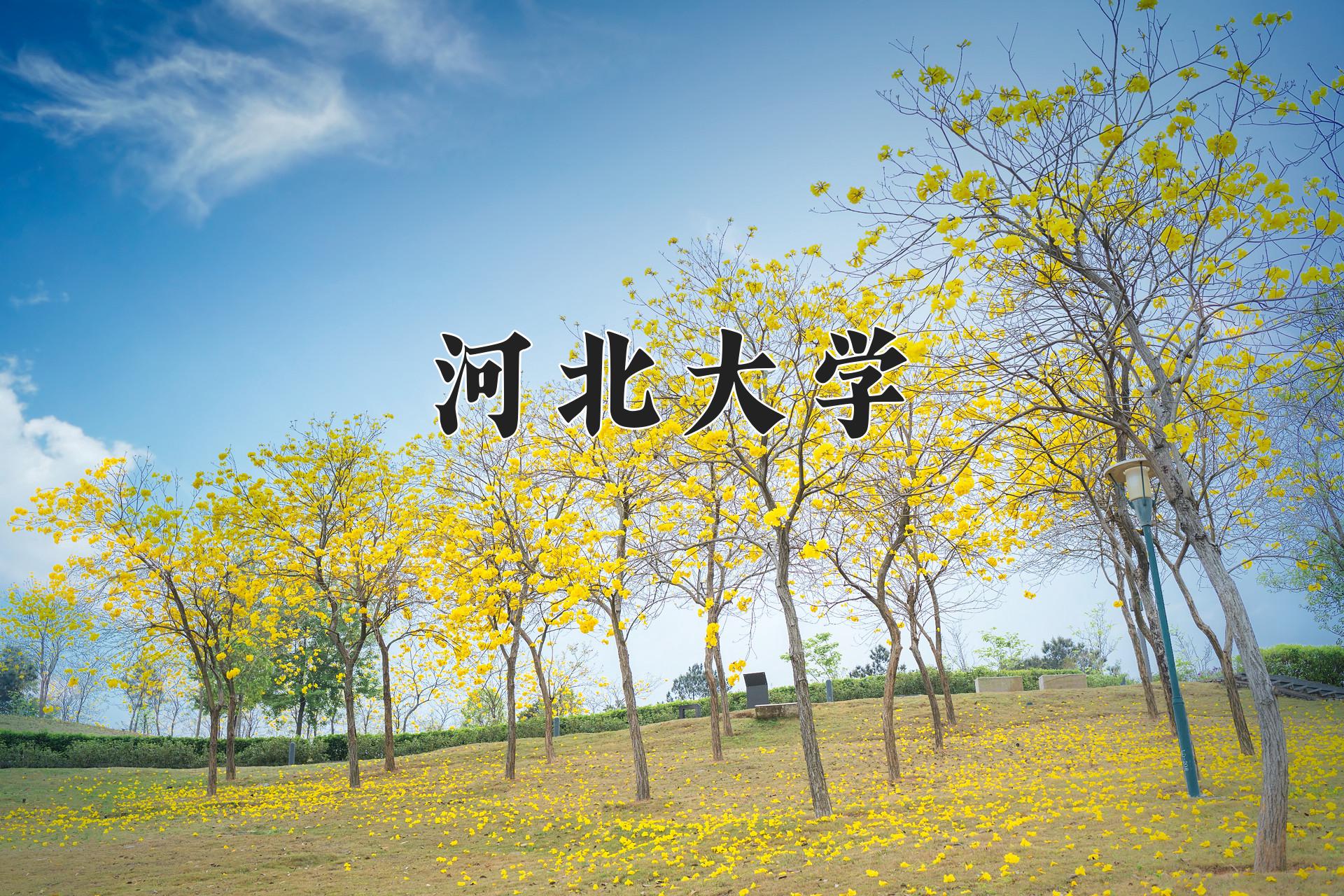 河北大学
