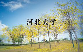 河北大学2024在陕西录取分数线是多少？最低493分/最高536分