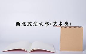西北政法大学(艺术类)2024在陕西录取分数线是多少？最低478分/最高498分