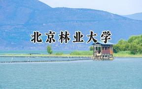 北京林业大学2024在河南录取分数线是多少？最低586分/最高618分