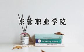 东营职业学院2024在河南录取分数线是多少？最低273分/最高369分