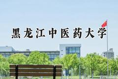 黑龙江中医药大学2024在河南录取分数线是多少？最低494分/最高588分