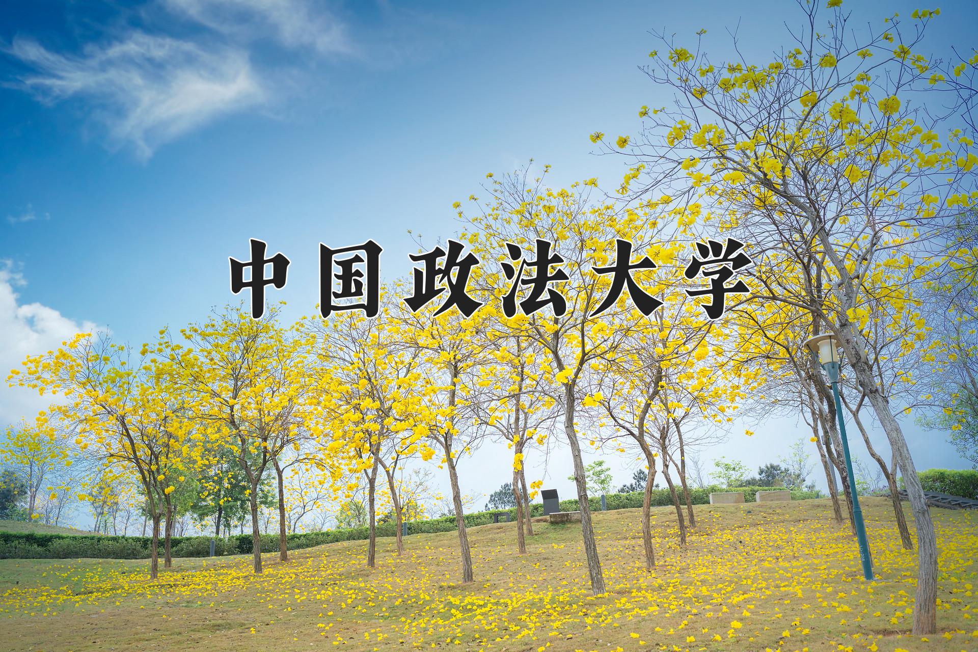 中国政法大学