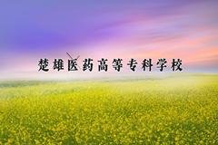 楚雄医药高等专科学校2024在陕西录取分数线是多少？最低351分/最高426分