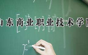 山东商业职业技术学院2024在河南录取分数线是多少？最低208分/最高388分