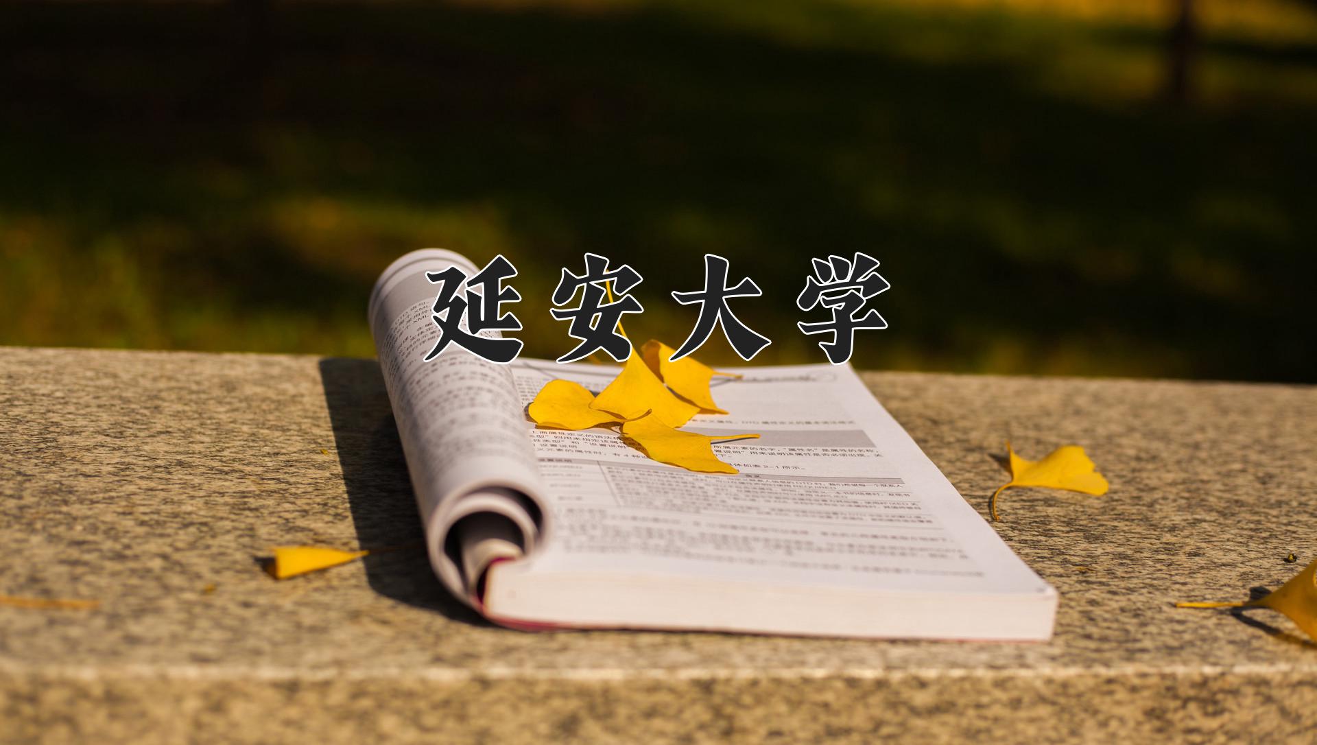 延安大学