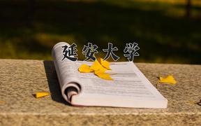 延安大学2024在陕西录取分数线是多少？最低486分/最高544分