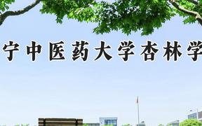 辽宁中医药大学杏林学院2024在河南录取分数线是多少？最低474分/最高494分