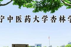 辽宁中医药大学杏林学院2024在河南录取分数线是多少？最低474分/最高494分