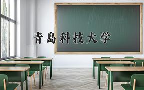 青岛科技大学2024在陕西录取分数线是多少？最低500分/最高529分
