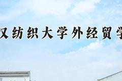 武汉纺织大学外经贸学院2024在河南录取分数线是多少？最低313分/最高446分