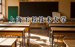 上海工程技术大学2024在河南录取分数线是多少？最低528分/最高579分