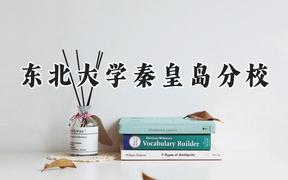 东北大学秦皇岛分校2024在河南录取分数线是多少？最低584分/最高624分