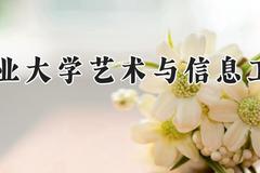 大连工业大学艺术与信息工程学院2024在河南录取分数线是多少？最低404分/最高429分