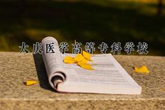 大庆医学高等专科学校2024在陕西录取分数线是多少？最低357分/最高452分