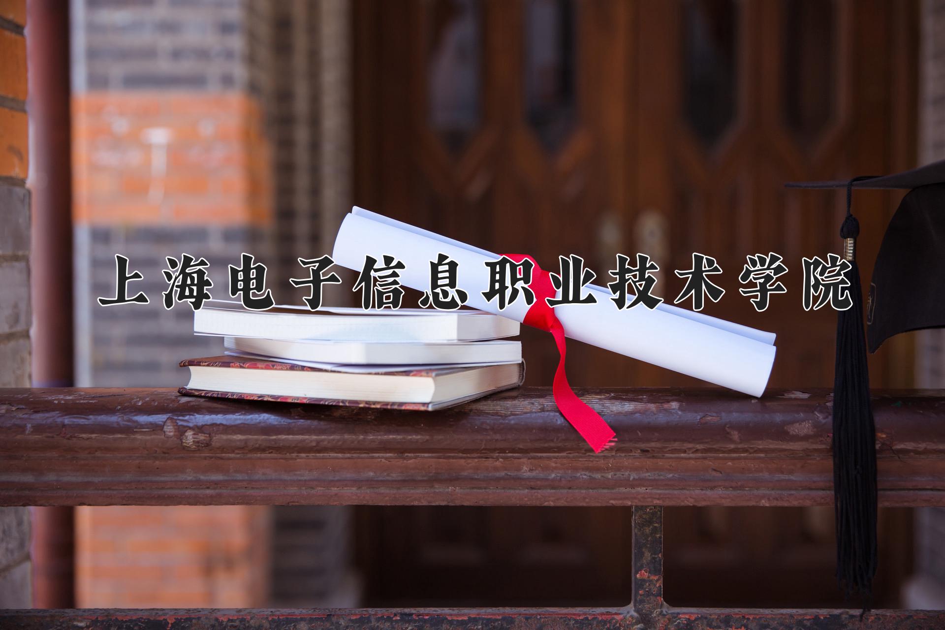 上海电子信息职业技术学院