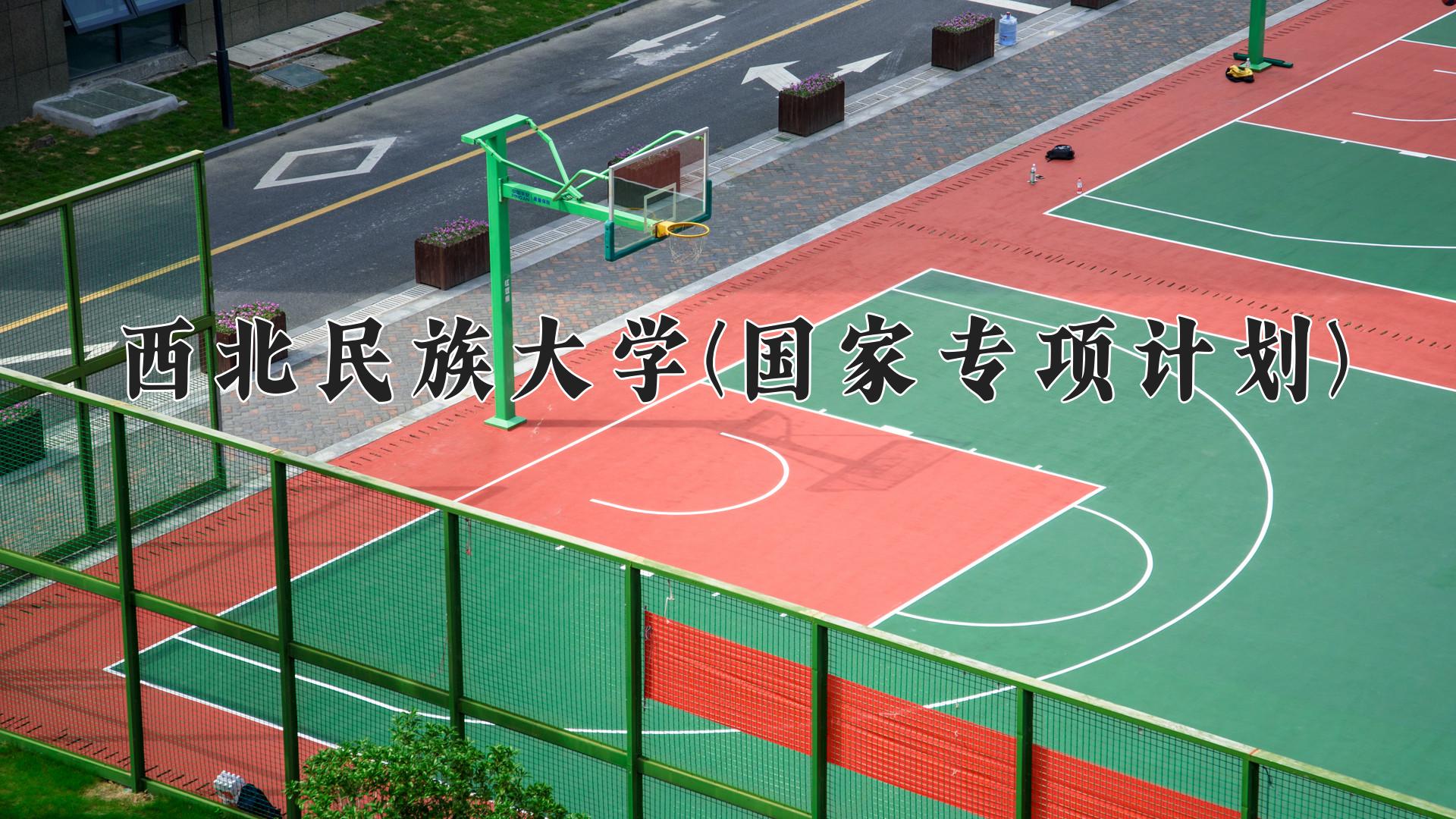 西北民族大学(国家专项计划)