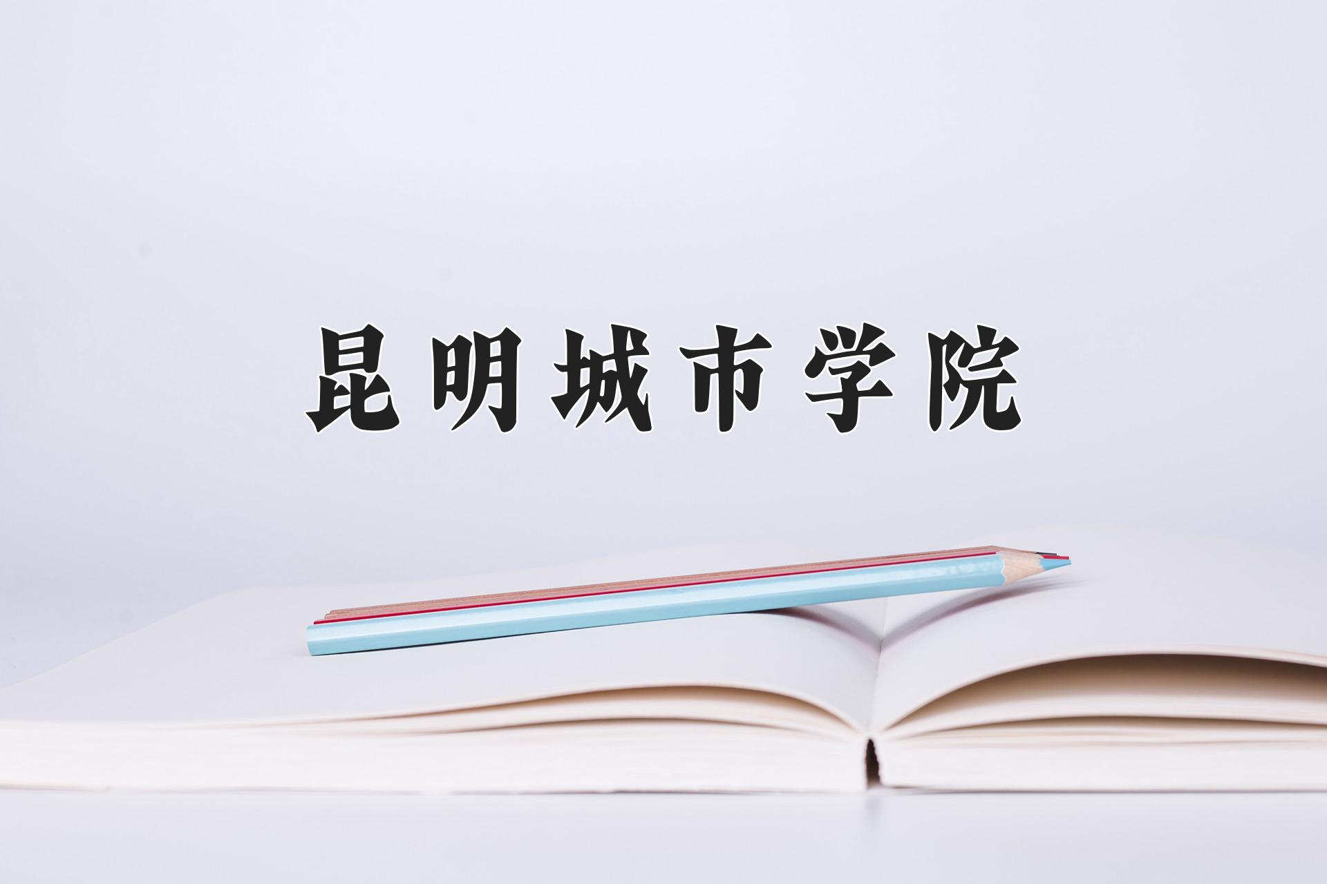 昆明城市学院