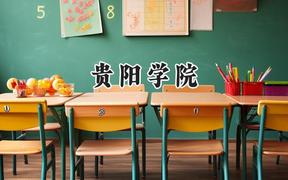 贵阳学院2024在河南录取分数线是多少？最低397分/最高504分