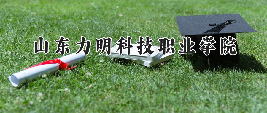 山东力明科技职业学院