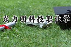 山东力明科技职业学院2024在河南录取分数线是多少？最低215分/最高348分