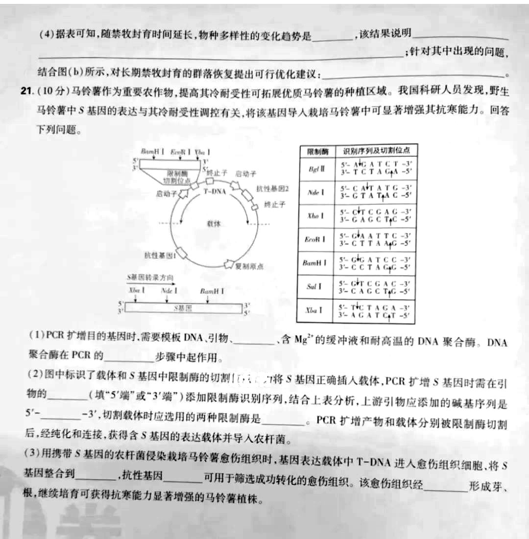 1750057816921.jpg