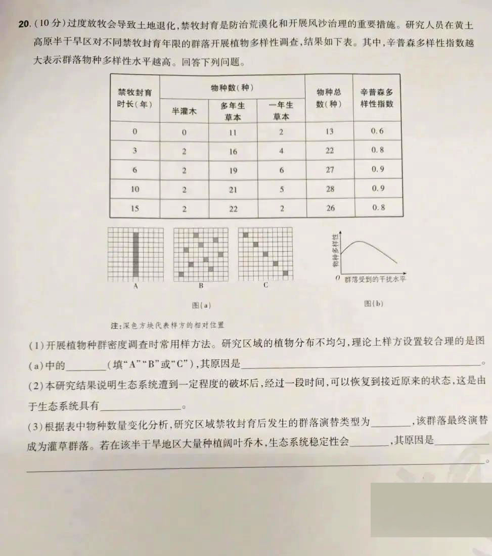1750057801771.jpg