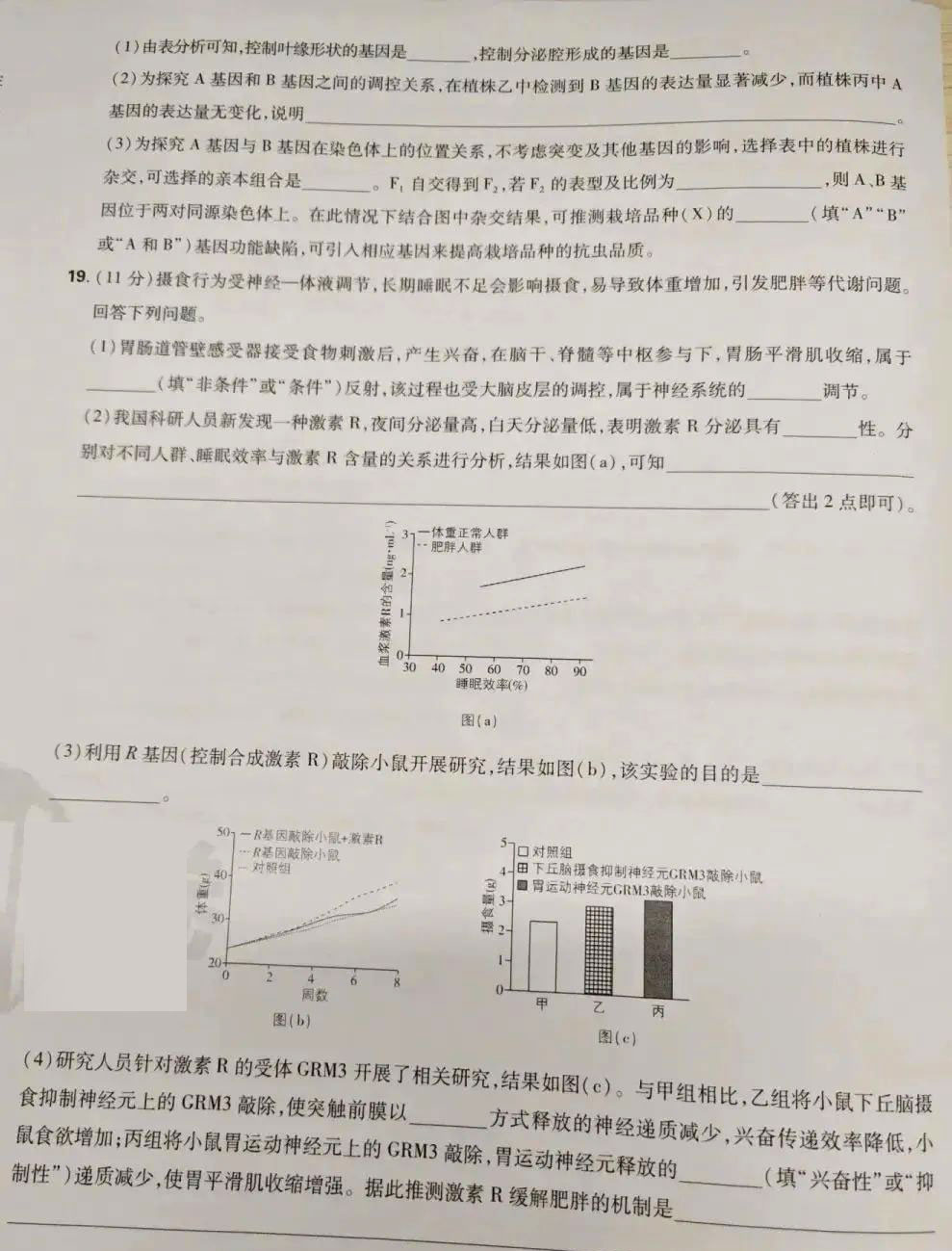 1750057783413.jpg