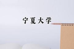 2024宁夏大学录取分数线：云南最低507分