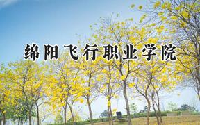 2024绵阳飞行职业学院录取分数线：河南最低167分