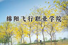 2024绵阳飞行职业学院录取分数线：河南最低167分