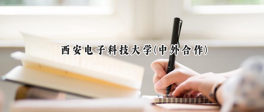 西安电子科技大学(中外合作)