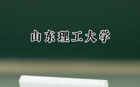 2024山东理工大学录取分数线：云南最低495分