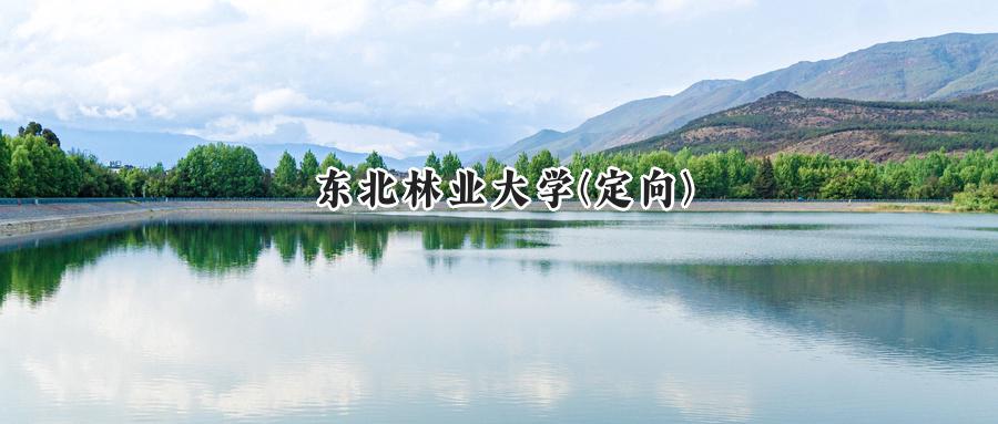 东北林业大学(定向)