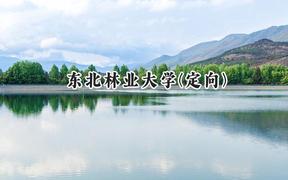 2024东北林业大学(定向)录取分数线：云南最低548分
