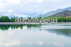 2024东北林业大学(定向)录取分数线：云南最低548分