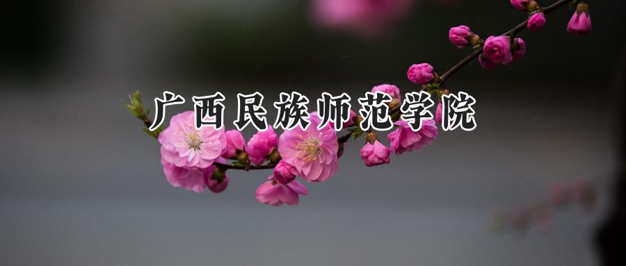广西民族师范学院
