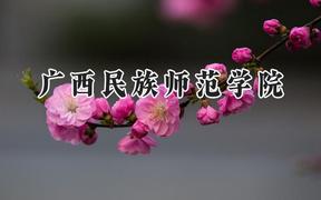 2024广西民族师范学院录取分数线：云南最低457分