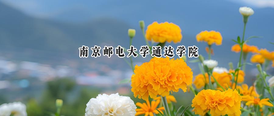 南京邮电大学通达学院