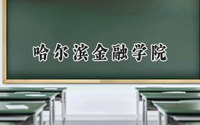 2024哈尔滨金融学院录取分数线：云南最低462分